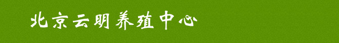北京云明养殖中心