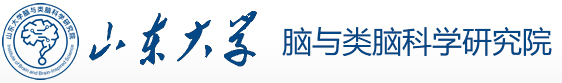 山东大学脑与类脑科学研究院