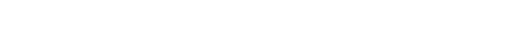 湖北大学化学化工学院