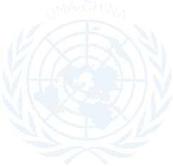 第十九届中国模拟联合国大会
