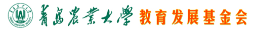 教育发展基金会_