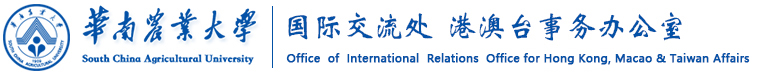 国际交流