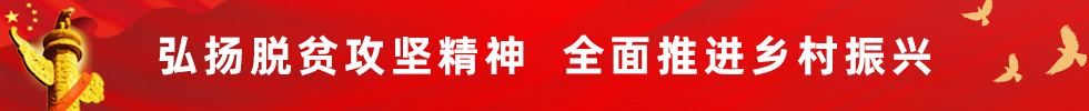 平凉市乡村振兴局