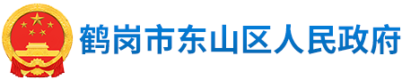 东山区人民政府