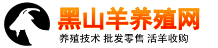 黑山羊价格 黑山羊养殖 黑山羊收购 黑山羊回收的地方 批发大耳朵、中耳朵、小耳朵黑山羊 湘宴活羊黑山羊养殖网