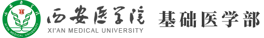 基础医学部-西安医学院