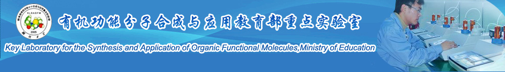 有机功能分子合成与应用教育部重点实验室