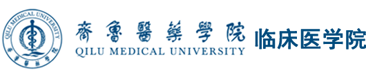 齐鲁医药学院-临床医学院