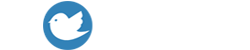二次元动漫百科 - 白鸟ACG