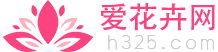 花卉_爱花卉网_2024中国花卉网