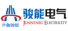 山东骏能电气设备有限公司_其它