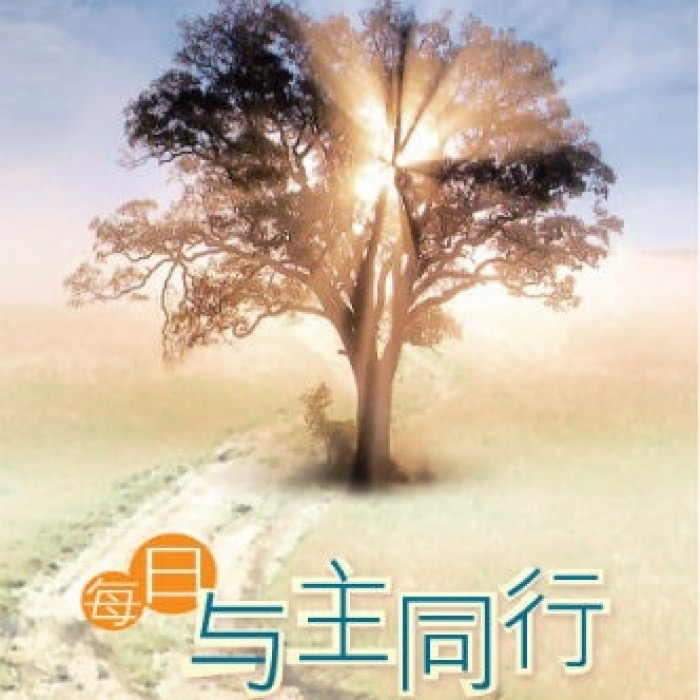 每日与主同行