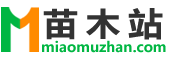 手机浏览_苗木站