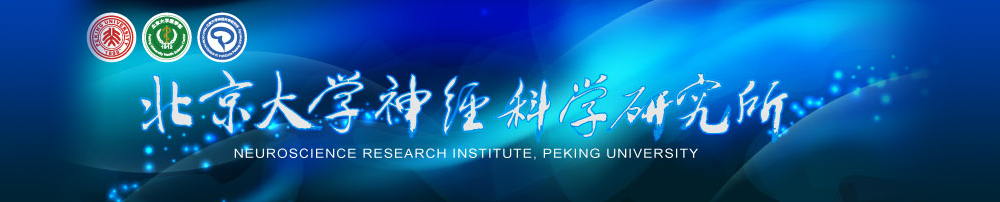 北大医学部神科所