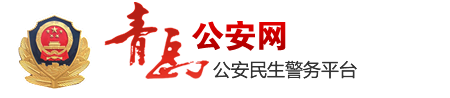 青岛公安网 青岛公安民生警务平台