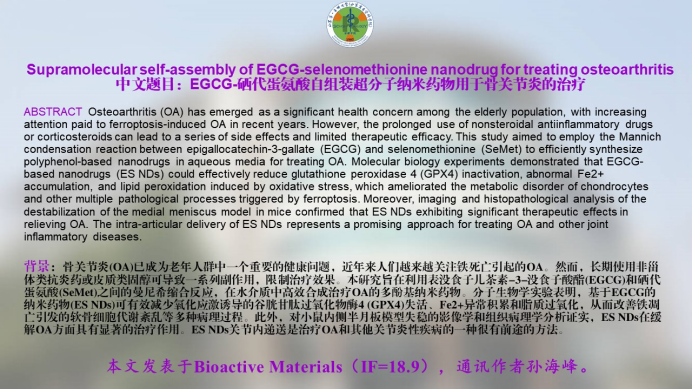 山东第一医科大学放射学院