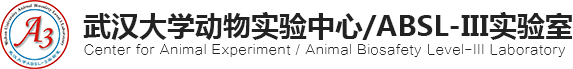 武汉大学动物实验中心/ABSL-III实验室-武汉大学动物实验中心