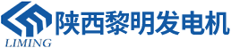 西安发电机组|康明斯发电机|柴油发电机组厂家_陕西黎明发电设备公司