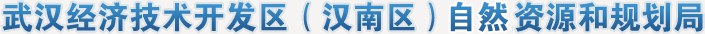 武汉经济技术开发区（汉南区）自然资源和规划局