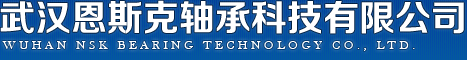 武汉恩斯克轴承科技有限公司