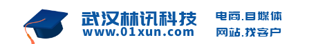 武汉林讯科技_教学医疗单警用装备柜智慧警保云管理软件系统