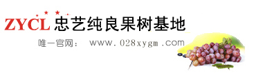 四川成都龙泉忠艺纯良果树苗基地-四川成都龙泉苗木-果树