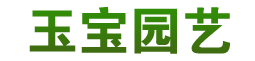 宁波花木出租_宁波租植物_宁波花卉租摆_宁波花草租赁-宁波玉宝园艺有限公司