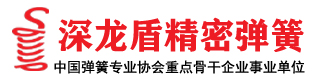 深龙盾弹簧定制加工厂家-压缩弹簧 拉伸弹簧 扭转弹簧 波形弹簧