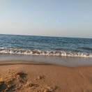 椰椰AI,高清商用AI图库 | www.11pic.cn