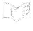 点阅小说