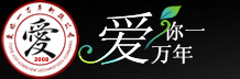 深圳网站制作-宝安网页设计-做企业网站公司-深圳爱你一万年科技