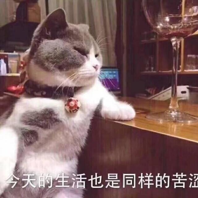 狂战一族 52kzyz.cn