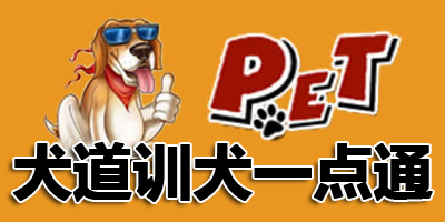 天天训狗 训狗视频教程 训犬教程
