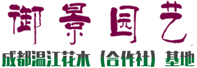 成都温江花木基地-御景园艺场苗圃，成都苗木批发，农户直销
