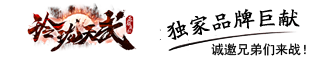 玲珑天武