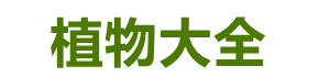 农村创业项目,农村种植养殖致富经赚钱好项目-农村创业致富网-个人种养记录