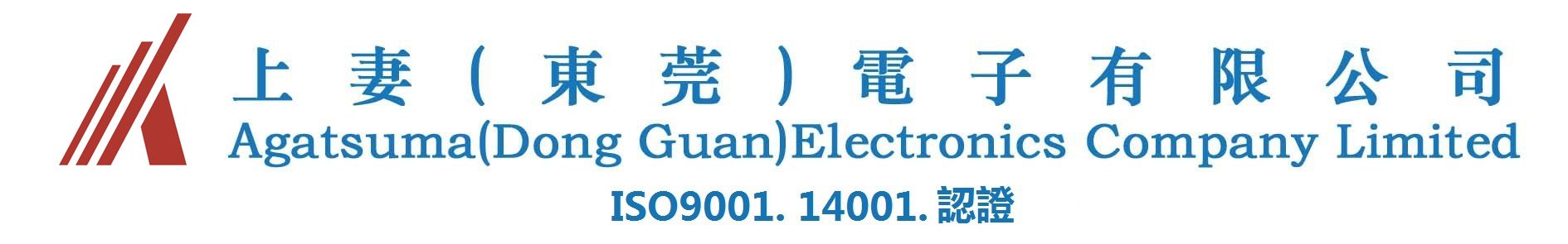 中文 日文