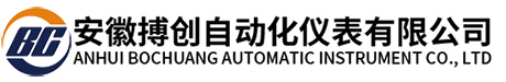 安徽搏创自动化仪表有限公司