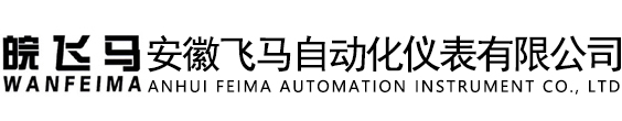 安徽飞马自动化仪表有限公司