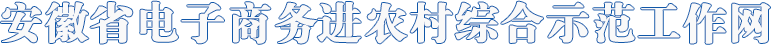 首页 - 安徽省电子商务进农村综合示范工作网