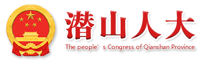 潜山人大网