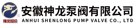 安徽神龙泵阀有限公司