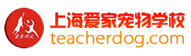 训狗学校丨上海爱家宠物学校训狗学校丨上海爱家宠物学校