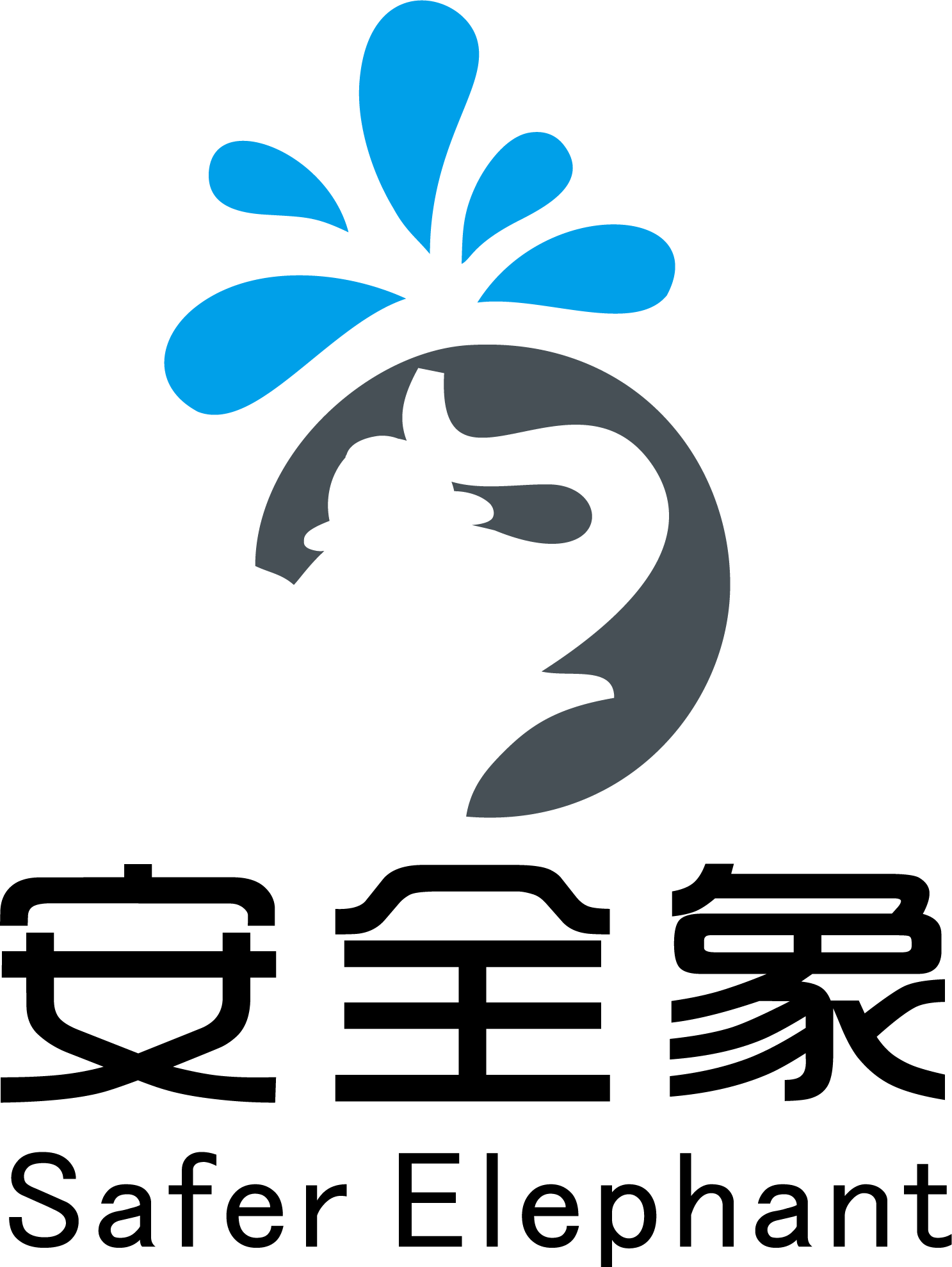 北京安全象消防科技服务有限公司