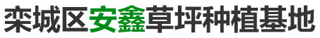 栾城区安鑫草坪种植基地