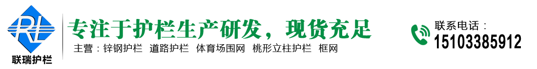 pvc栅栏车间隔离-市政道路基坑护栏-体育场金属围栏-锌钢铁路护栏网-联瑞护栏