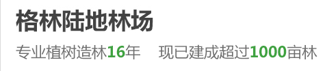 格林陆地林场欢迎您，北京植树活动基地