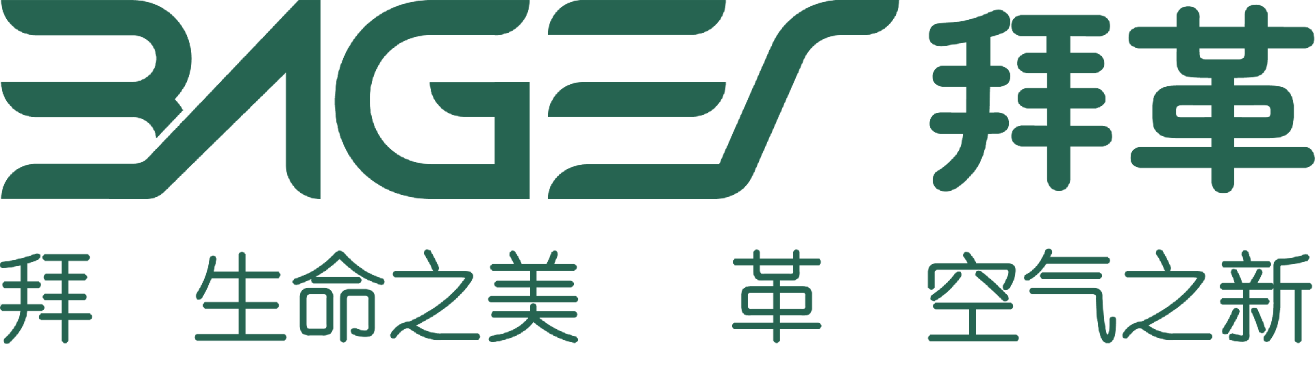 空气净化器-空气消毒机-医用紫外线消毒机厂家-校园新风系统-苏州拜革环能（Bager）