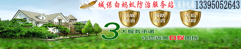 厦门白蚂蚁防中心《厦门白蚁灭除公司》【厦门灭白蚁站】消杀白蚁电话号码-厦门白蚁防治公司厦门市白蚁防治消杀单位|【厦门防治白蚁】厦门市白蚁防治机构|白蚂蚁公司|厦门白蚁防治所|厦门灭白蚁除白蚁公司{鼓浪屿区、思明区、开元区、杏林区、湖里区、集美区、同安区灭除白蚁上门服务}厦门白蚂蚁防中心《厦门白蚁灭除公司》【厦门灭白蚁站】消杀白蚁电话号码-厦门白蚁防治公司厦门市白蚁防治消杀单位|【厦门防治白蚁】厦门市白蚁防治机构|白蚂蚁公司|厦门白蚁防治所|厦门灭白蚁除白蚁公司{鼓浪屿区、思明区、开元区、杏林区、湖里区、集美区、同安区灭除白蚁上门服务}