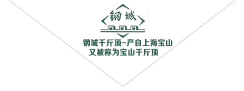 宝山千斤顶_上海宝山螺旋千斤顶-上海宝山千斤顶总厂